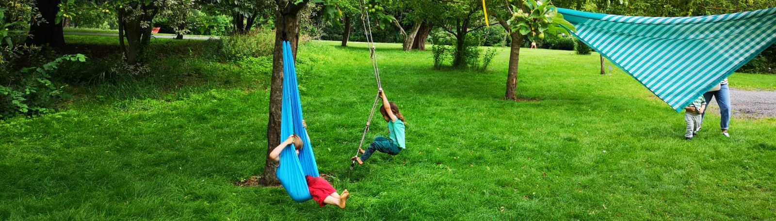 Children play on a swing and rope ladder hanging from a tree. 