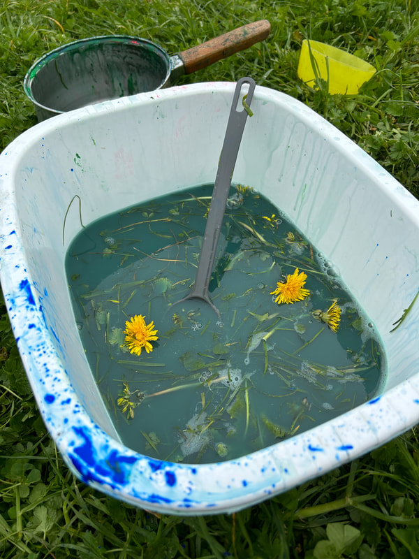 A tub of green water and daffodils